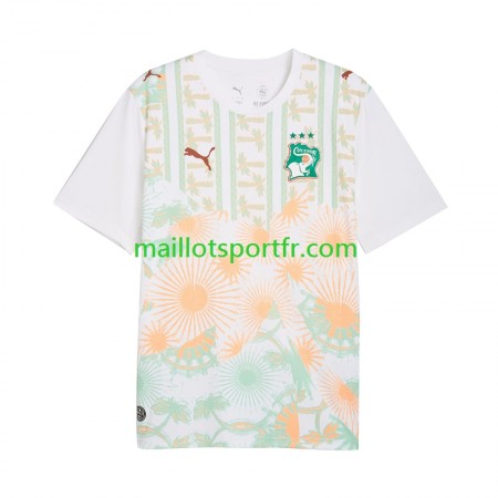 Maillot de Foot Côte d Ivoire World Cup Exterieur 2026